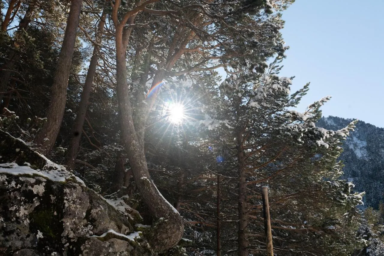 Chalet mitoyen tout confort avec prestations hôtelières Cauterets