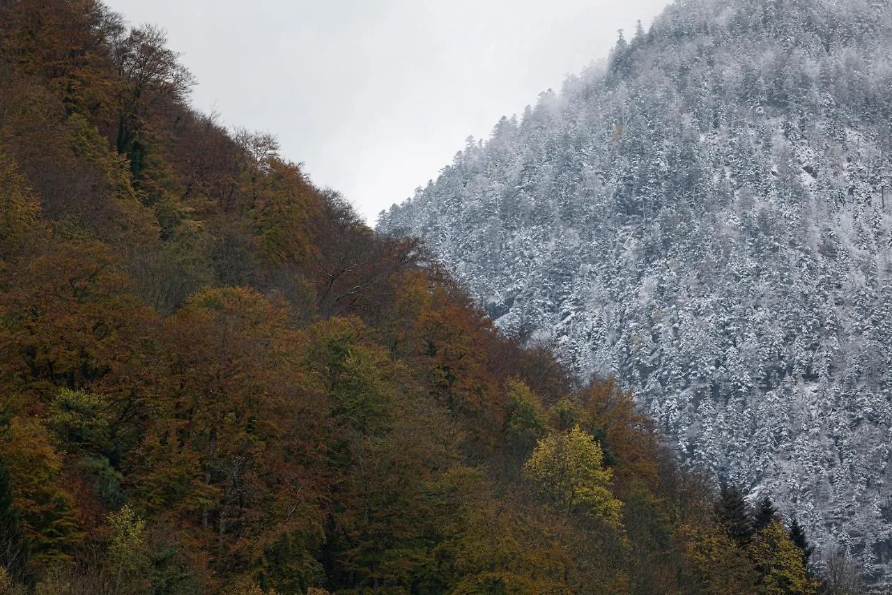 Chalet Mitoyen Tout Confort Cauterets